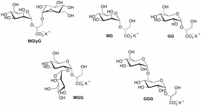 glyceryl