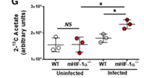 Picture metabolomics 2