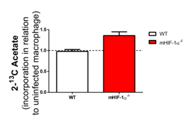 Picture metabolomics 3